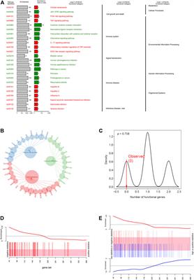 Inflammatory aging clock: A cancer clock to characterize the patients’ subtypes and predict the overall survival in glioblastoma